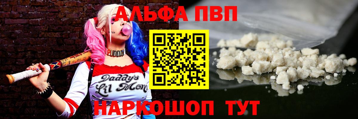 A PVP СК КРИС Кемерово
