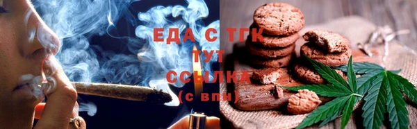 хмурый Медногорск