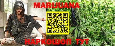 apvp Гатчина