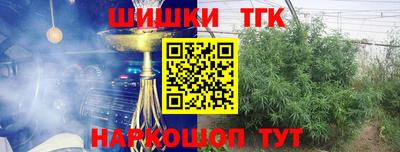 шишки Гай