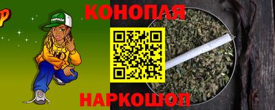 шишки Гай