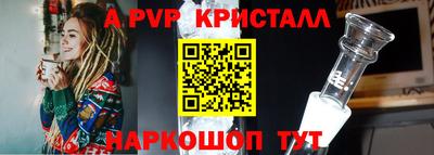 шишки Гай