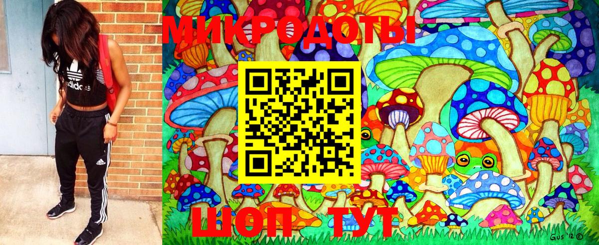 Псилоцибиновые грибы Psilocybe  Кемерово  Галлюциногенные грибы мухоморы 