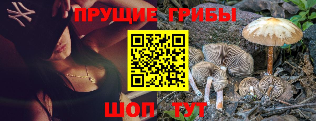 Псилоцибиновые грибы ЛСД Кемерово